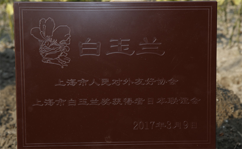 由中日双方共同载下的白玉兰树必将迎来芬芳盛开的美好明天