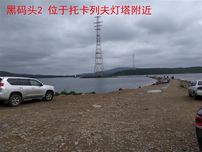 WDCM上传图片 WDCM上传图片